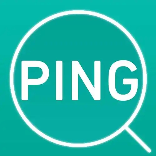 在线ping